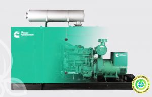 Diesel Generator Set QSN14 Series